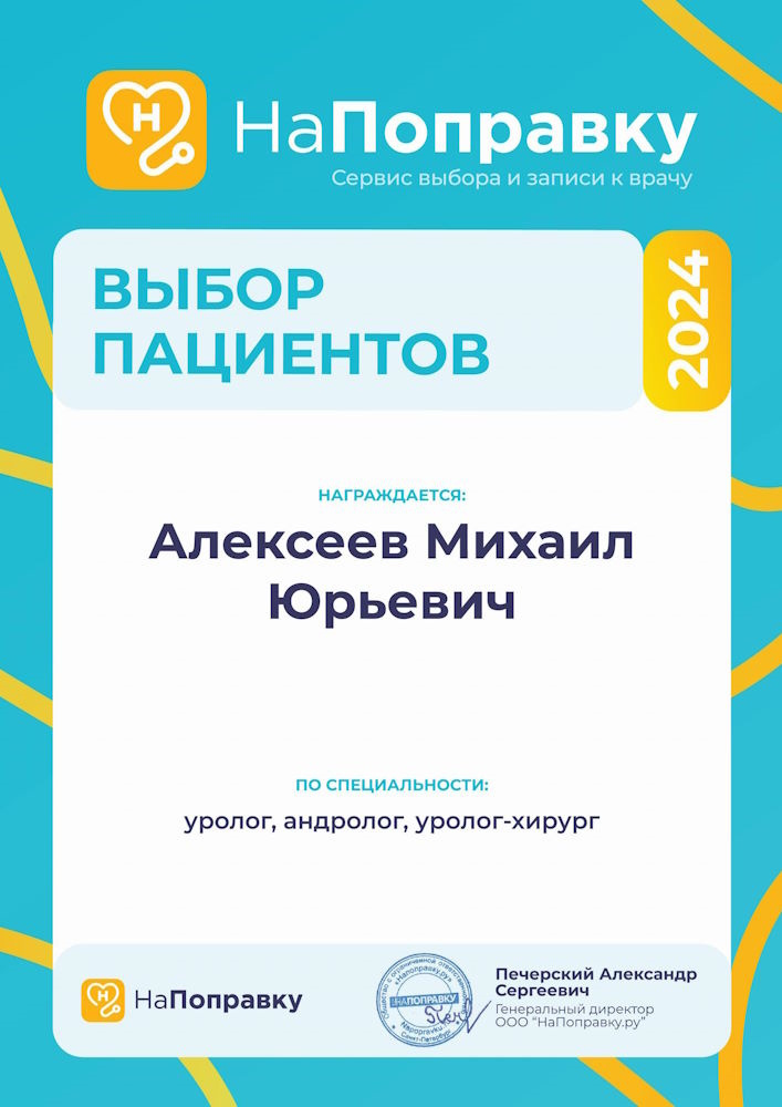 Сертификат Алексеев - НаПоправку 2024